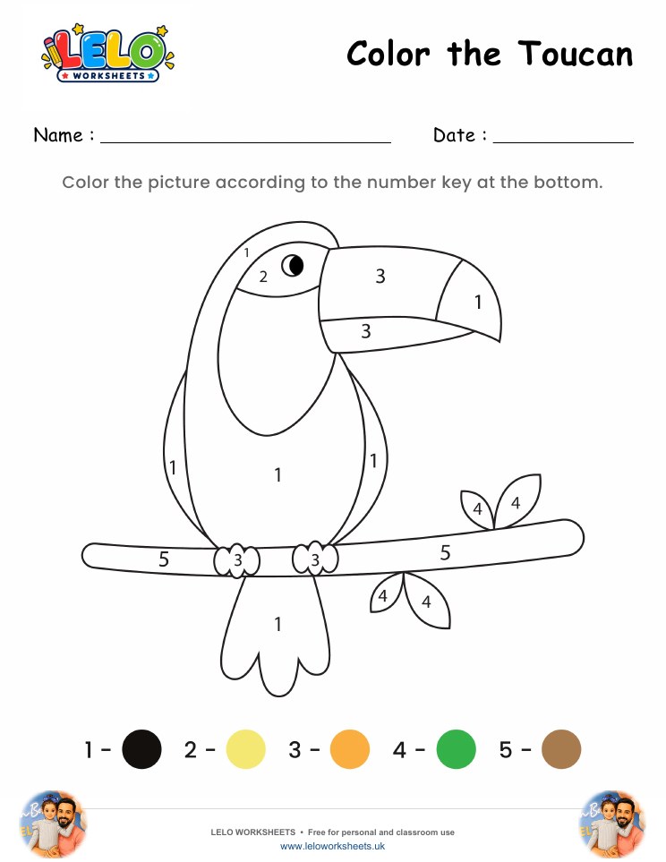 Color the Toucan Worksheet worksheet preview