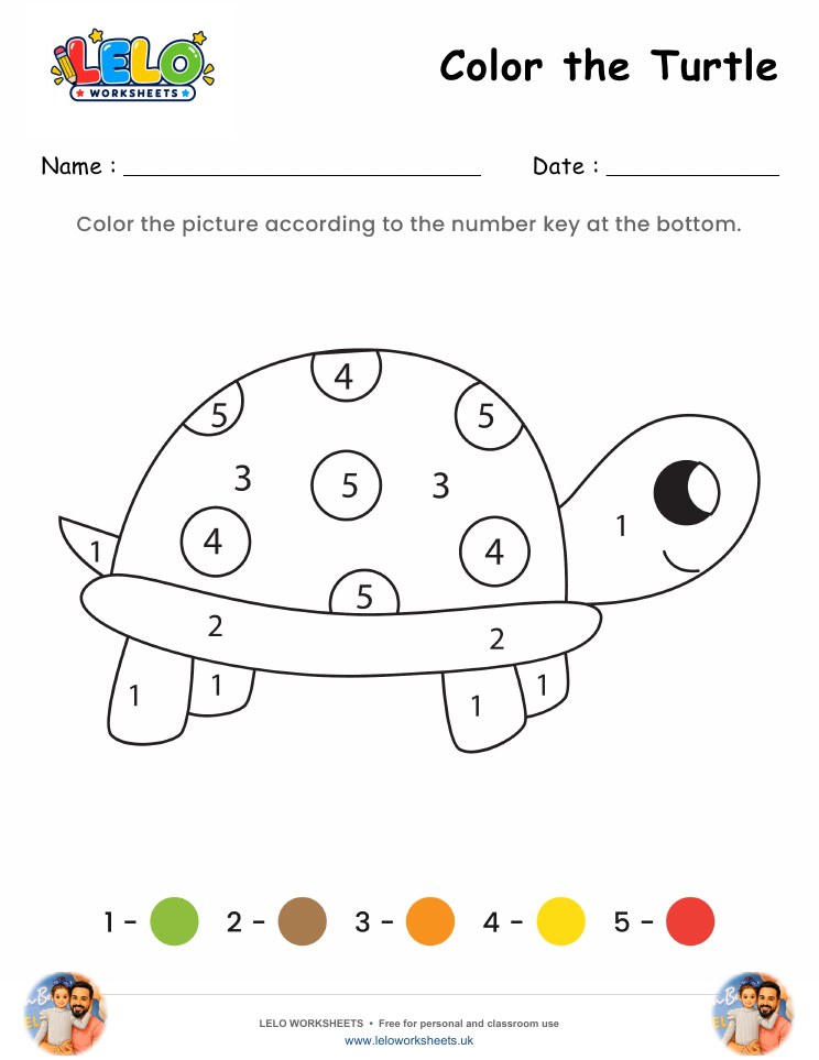 Color the Turtle Worksheet worksheet preview
