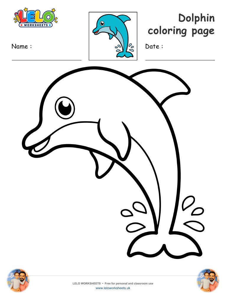 dolphin coloring page worksheet preview