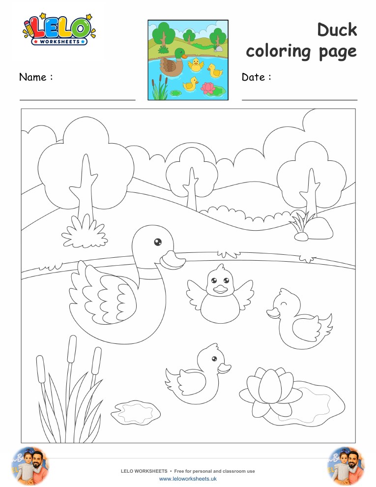Duck coloring page worksheet preview