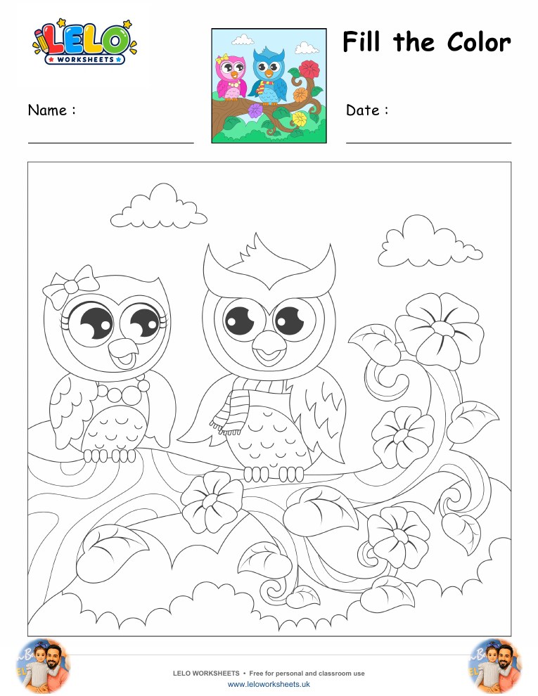Fill the Color-Owl Worksheet worksheet preview