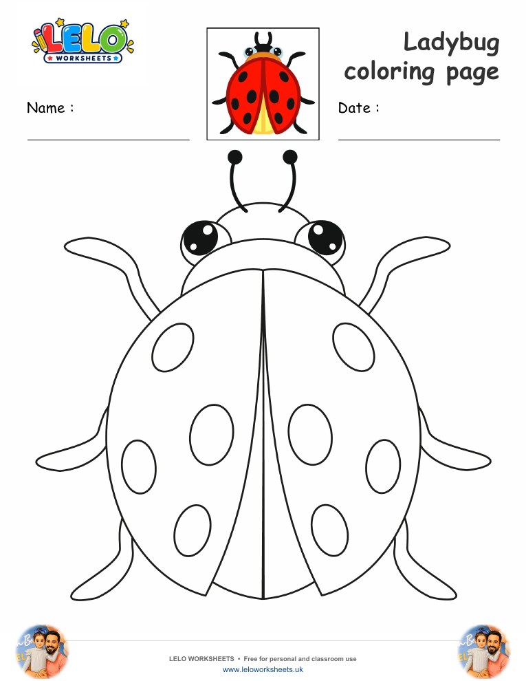 Ladybug coloring page worksheet preview