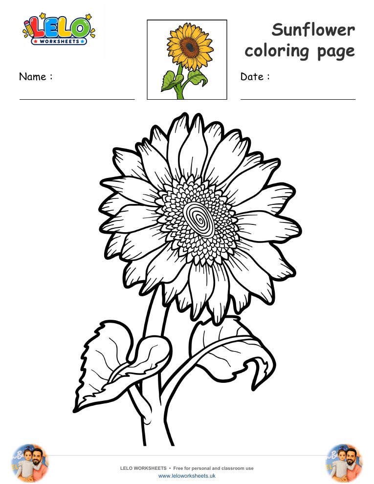 sunflower coloring page worksheet preview