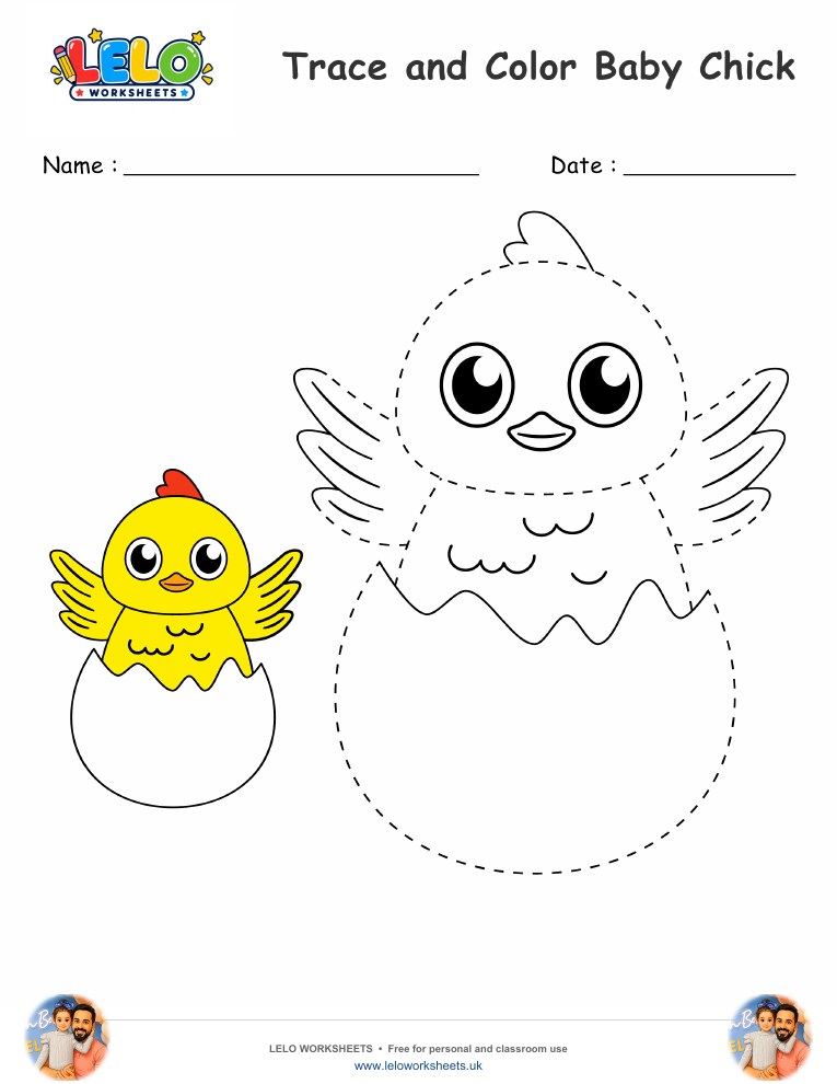 Trace and Color Baby Chick worksheet worksheet preview