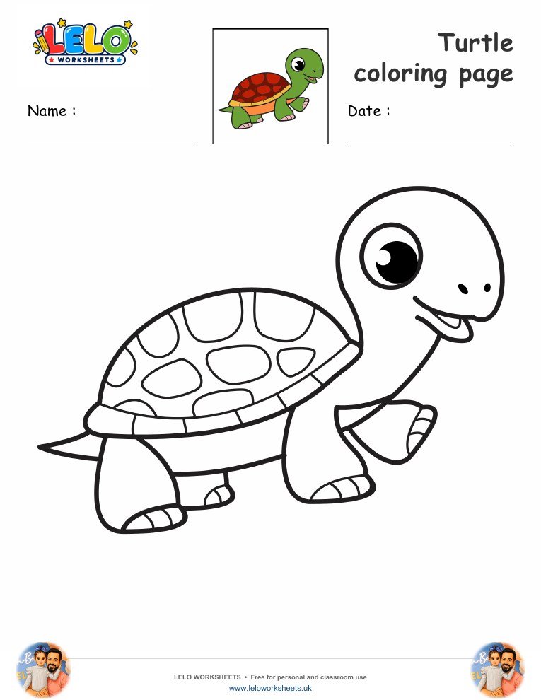 Turtle coloring page worksheet preview