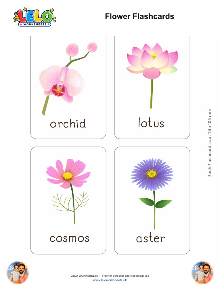 Flowers Flashcards worksheet preview
