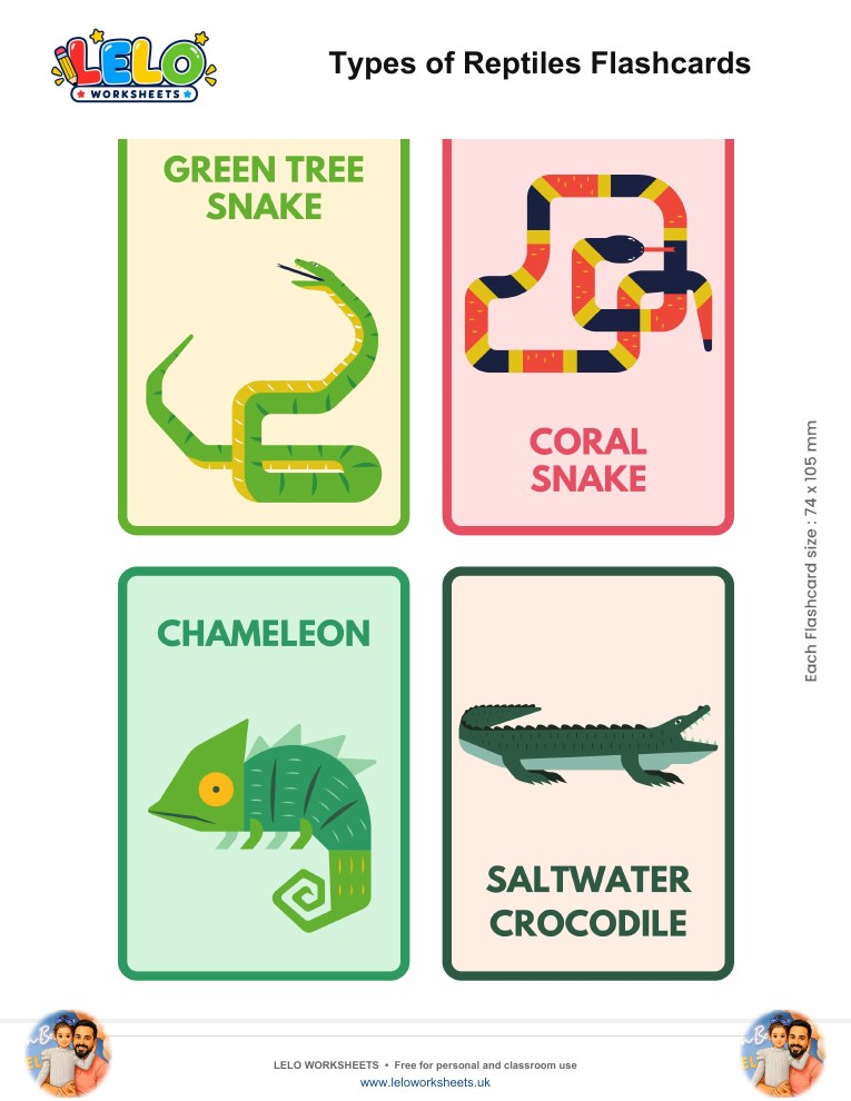 Reptiles Flashcards worksheet preview