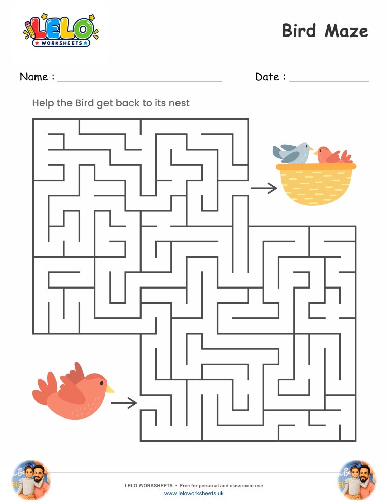 Bird Maze worksheet worksheet preview