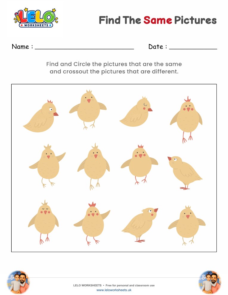Find the same Chickens Worksheet worksheet preview