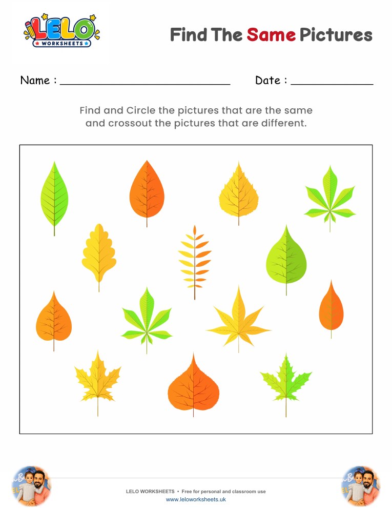 Find the same Leaves Worksheet worksheet preview