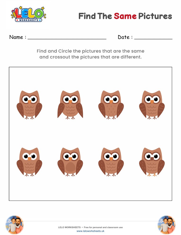 Find the same Owl Worksheet worksheet preview