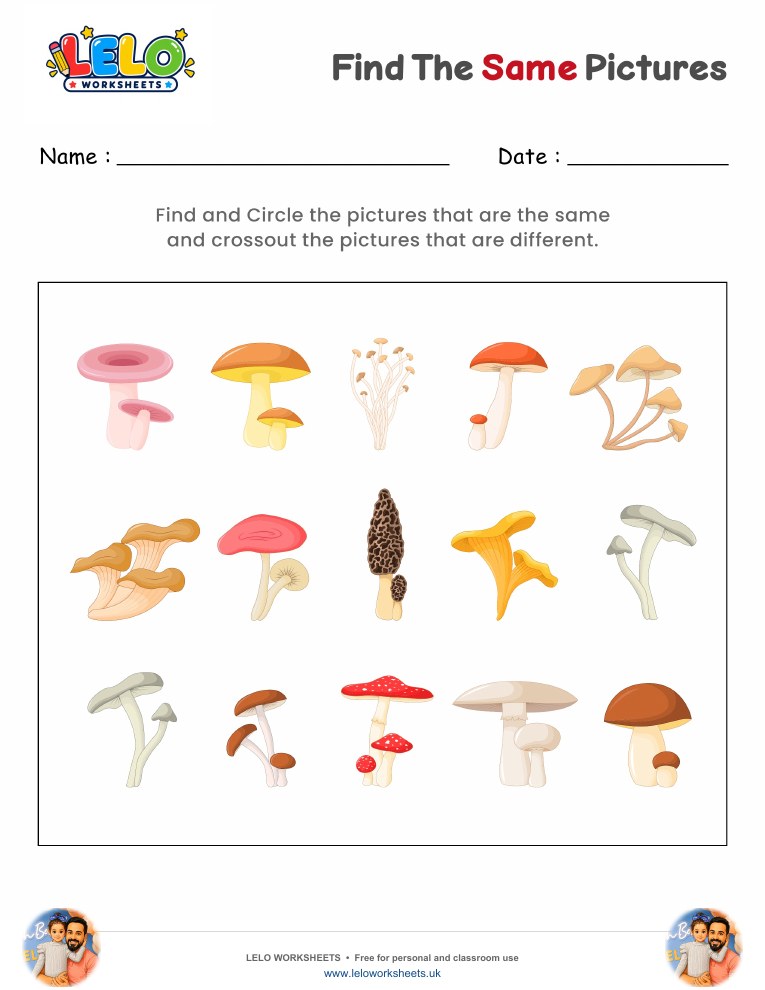 Find the same Pictures Worksheet 1 worksheet preview