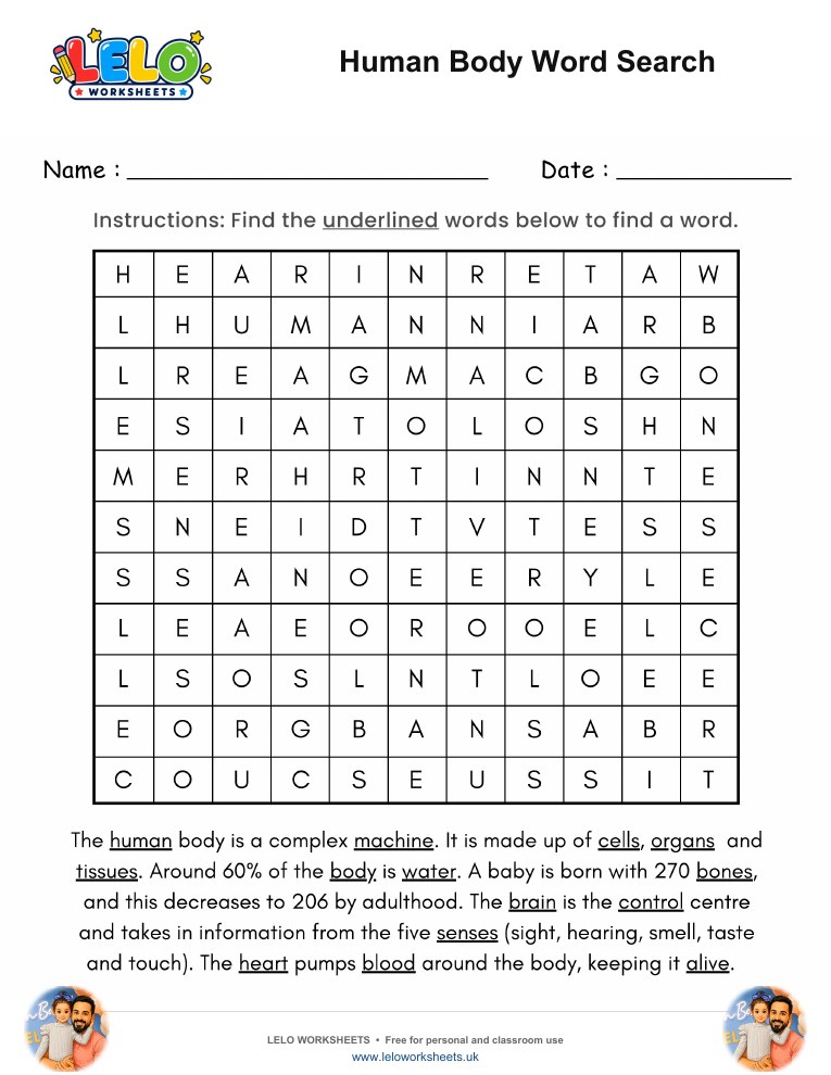 Human Body Word Search Worksheet worksheet preview