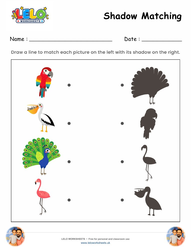 Shadow Matching Birds Worksheet worksheet preview