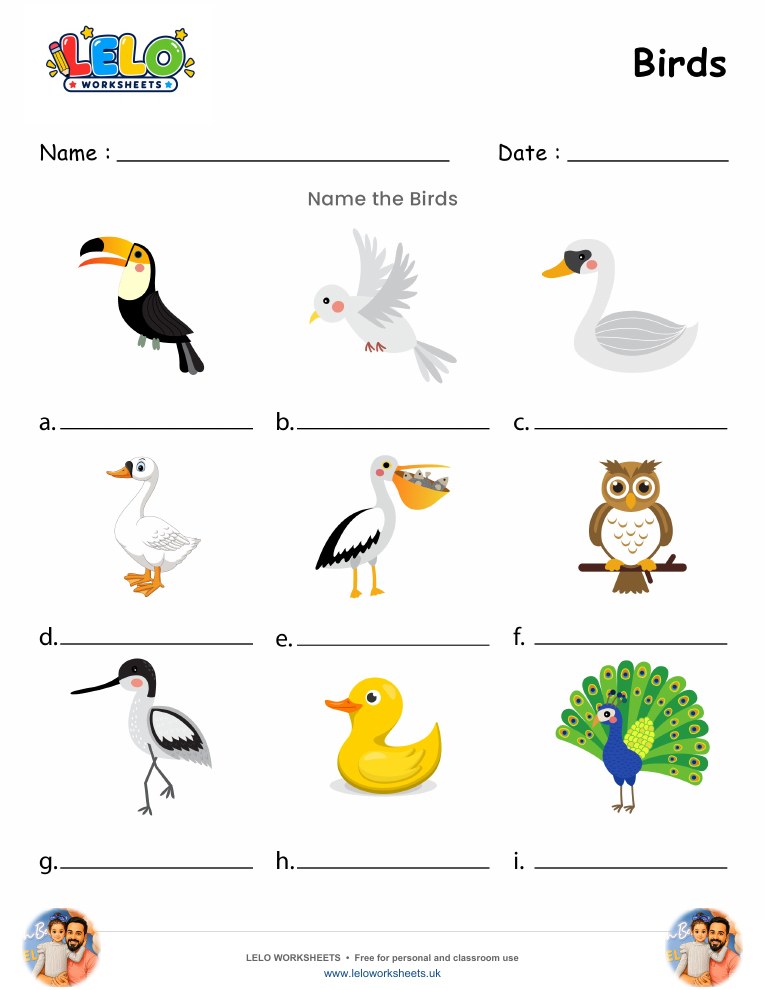 Birds Worksheet worksheet preview