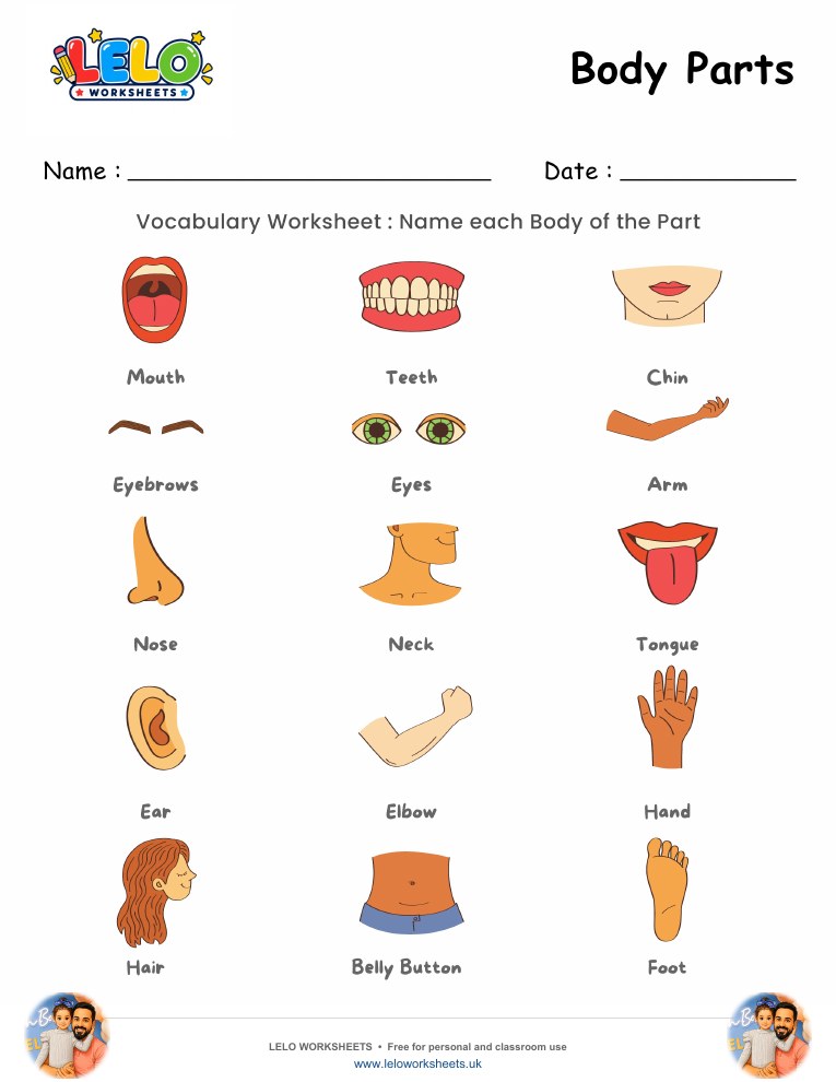 Body Parts printable Worksheet worksheet preview