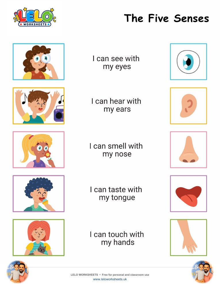 Five Senses Worksheet worksheet preview