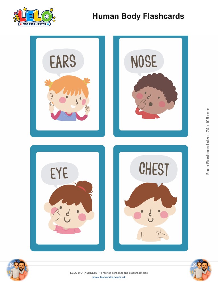 Human Body Flashcards printable worksheet preview