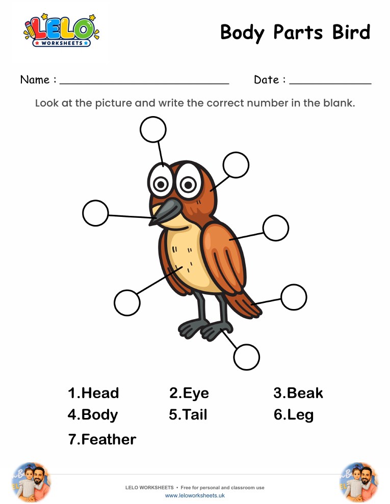 Label the Body Parts of Bird Worksheet worksheet preview