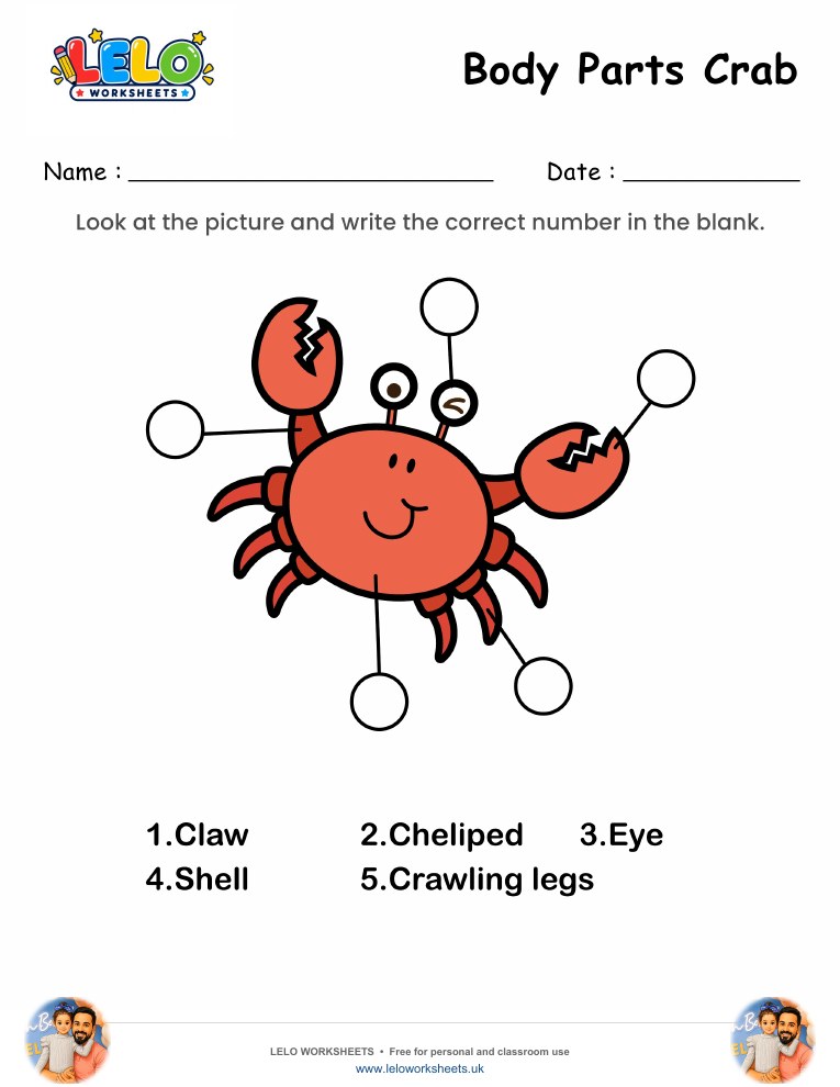 Label the Body Parts of Crab Worksheet worksheet preview
