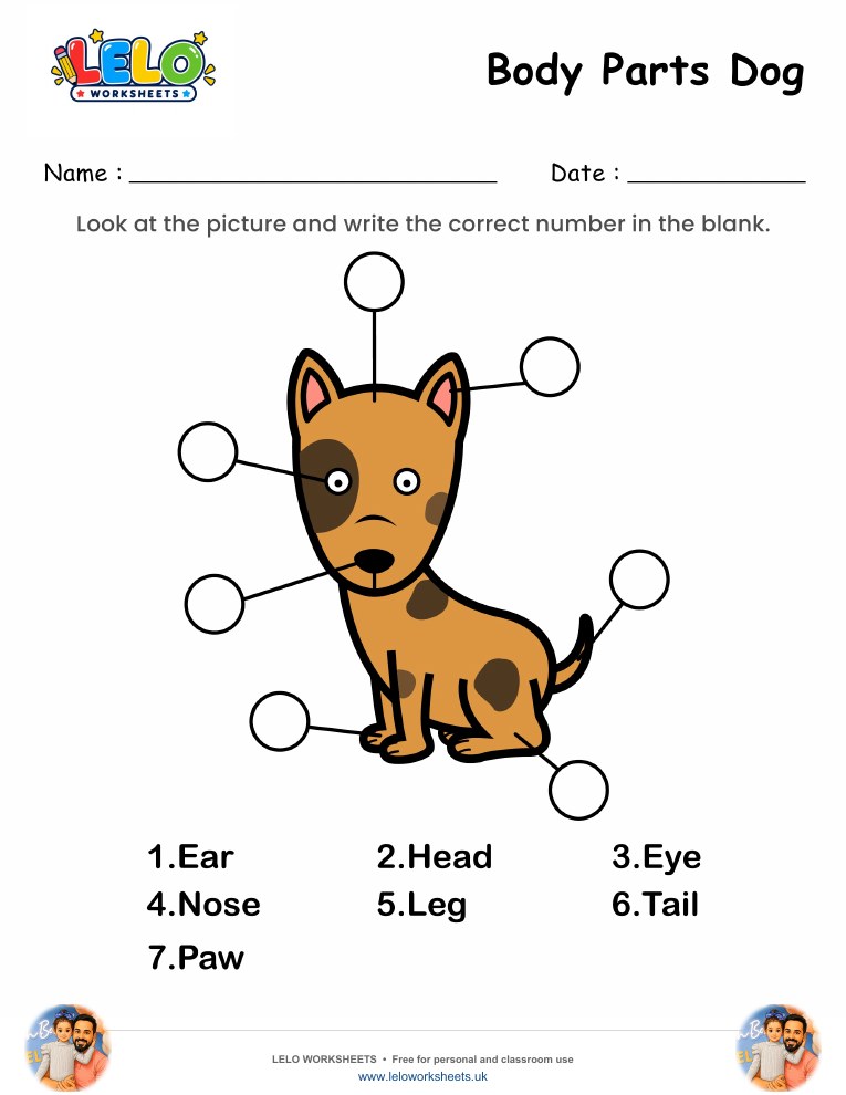 Label the Body Parts of Dog Worksheet worksheet preview