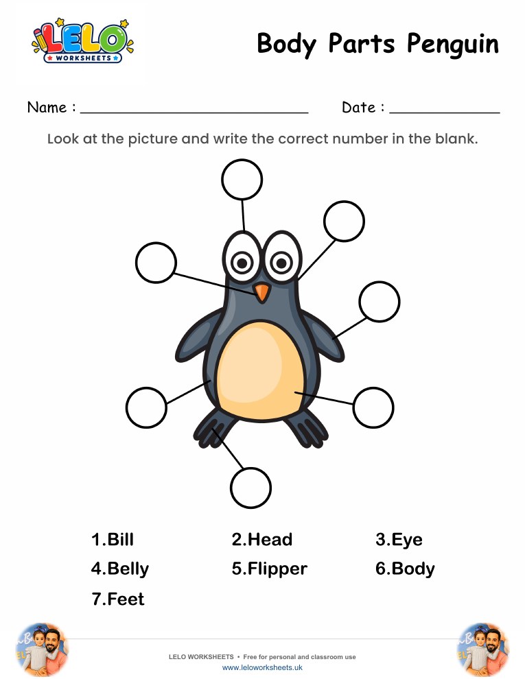 Label the Body Parts of Penguin Worksheet worksheet preview