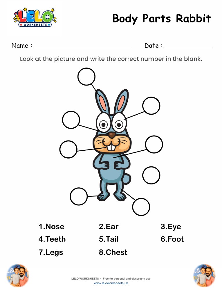 Label the Body Parts of Rabbit Worksheet worksheet preview