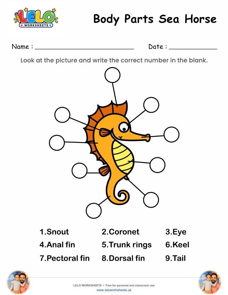 Label the Body Parts of Sea Horse Worksheet worksheet preview