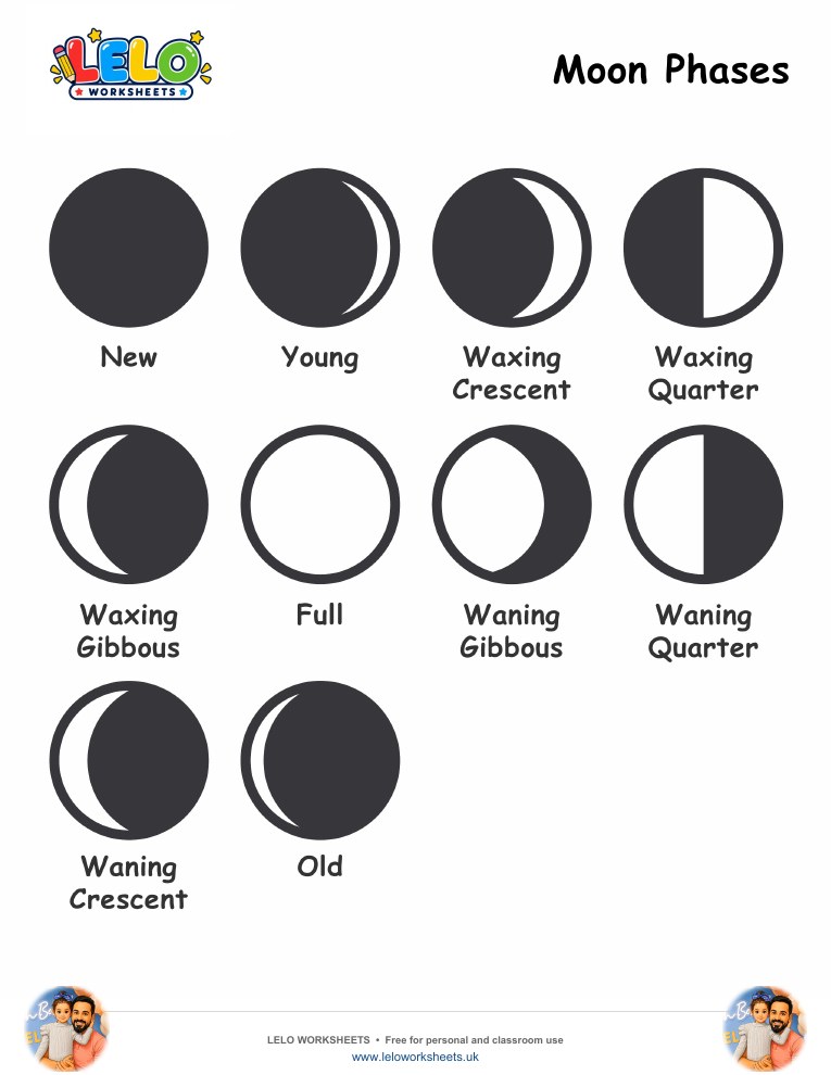 Moon Phases worksheet worksheet preview