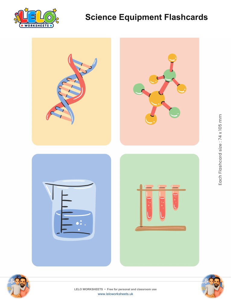 Science Equipment Flashcards worksheet preview