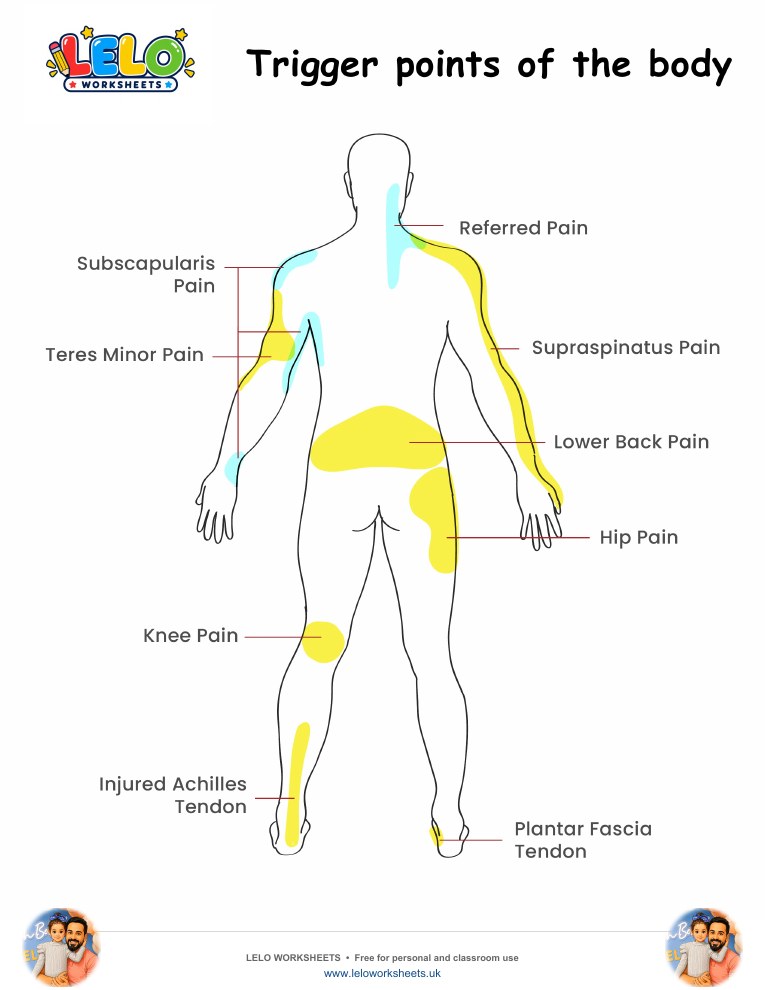 Trigger points of the body Worksheet worksheet preview