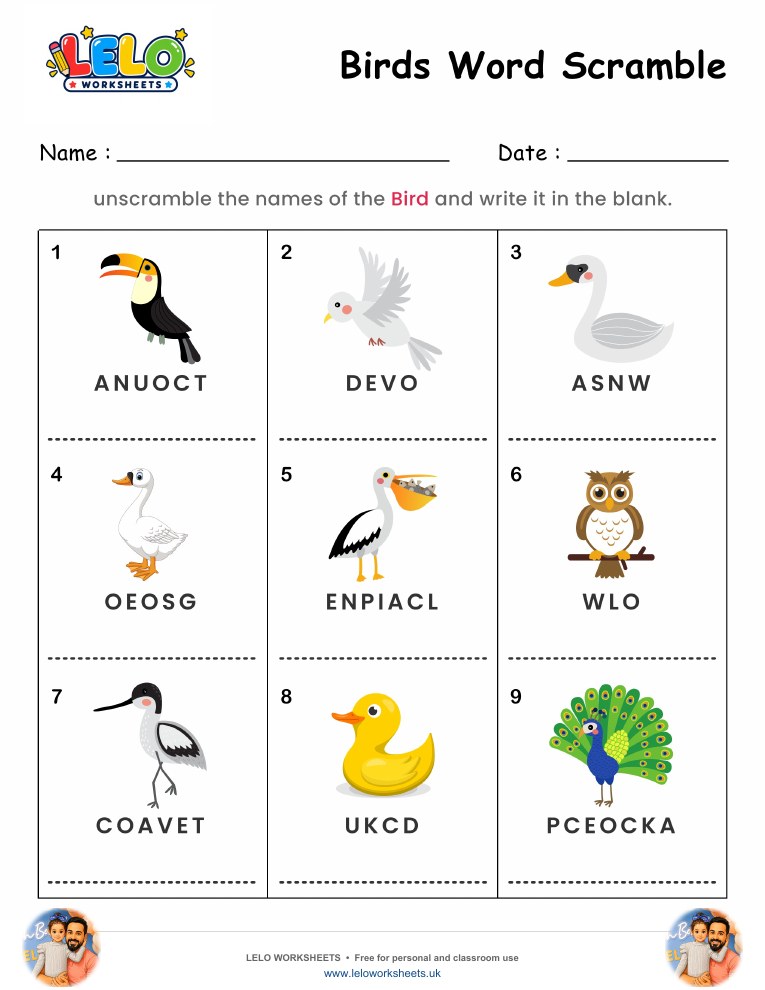 Spelling Word Scramble Birds Worksheet worksheet preview