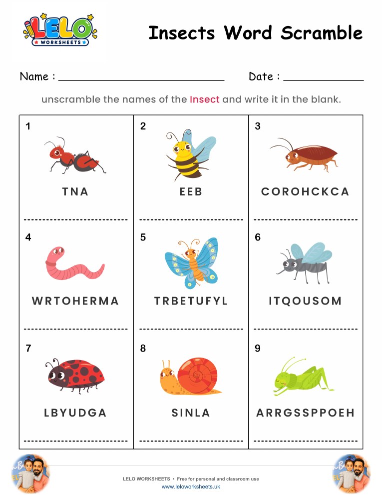 Spelling Word Scramble Insects Worksheet worksheet preview